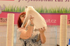 Oscar bei Tica Richterin Jane Allen aus England