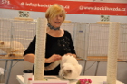 Oscar bei Tica Richterin Pamela Barrett aus den USA