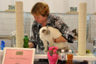 Oscar bei Tica Richterin Irene van Belzen aus den Niederlanden