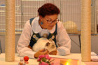 Oscar bei Tica Richterin Asa Broing aus Schweden