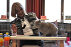 Mumin bei Tica Richterin Pamela Barrett aus den USA