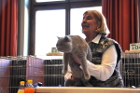 Mumin bei Tica Richterin Pamela Barrett aus den USA