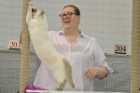 Mary Rose bei Tica Richterin Phillipa Holmes aus England