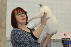 Oscar bei Tica Richterin Jane Allen aus England