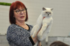 Oscar bei Tica Richterin Jane Allen aus England