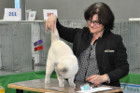 Oscar bei Tica Richterin Helene Guillaume aus Frankreich