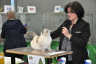 Oscar bei Tica Richterin Helene Guillaume aus Frankreich