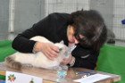 Oscar bei Tica Richterin Helene Guillaume aus Frankreich