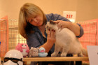 Oscar bei Tica Richterin Delsa Rudge aus England
