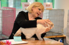 Oscar bei Tica Richterin Laurie Schiff aus den USA