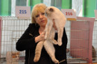 Oscar bei Tica Richterin Laurie Schiff aus den USA