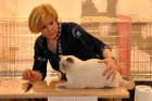 Oscar bei Tica Richterin Vlada Benina aus Russland