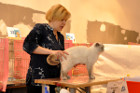 Oscar bei Tica Richterin Vlada Benina aus Russland