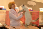 Oscar bei Tica Richterin Vlada Benina aus Russland