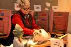 Oscar bei Tica Richterin Marion Schiff aus den USA