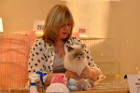 Oscar bei Tica Richterin Delsa Rudge aus England