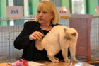 Oscar bei Tica Richterin Laurie Schiff aus den USA