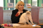 Oscar bei Tica Richterin Laurie Schiff aus den USA