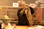 Queeny bei Tica Richterin Marion Schiff aus den USA