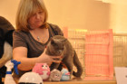 Quenny mit Tica Richterin Delsa Rudge aus England