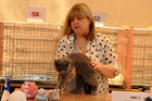 Quenny mit Tica Richterin Delsa Rudge aus England