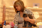 Quenny mit Tica Richterin Delsa Rudge aus England