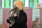 Queeny bei Tica Richterin Marion Schiff aus den USA
