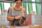 Queeny bei Tica Richterin Francesca Gagern aus Österreich