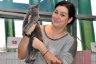 Queeny bei Tica Richterin Francesca Gagern aus Österreich