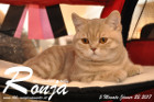 Ronja bei Tica Richterin Laurie Schiff aus den USA