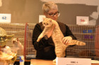 Ronja bei Tica Richterin Marion Schiff aus den USA