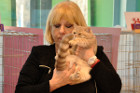 Ronja bei Tica Richterin Laurie Schiff aus den USA