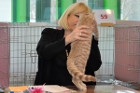 Ronja bei Tica Richterin Laurie Schiff aus den USA