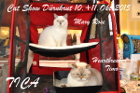 TICA Cat Show Dürnkrut 10.+11.Okt.2015 by ACU