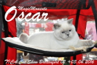 TICA Cat Show Breitenfurt 02.+03.April 2016