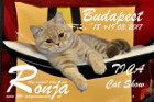 TICA Cat Show Budapest Maerz 2017