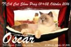 TICA Cat Show Prag/CZ 01.+02.Oktober.2016